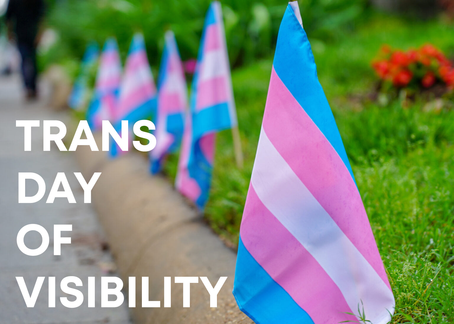 March 31st is Trans Day of Visibility!